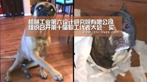  实时比分