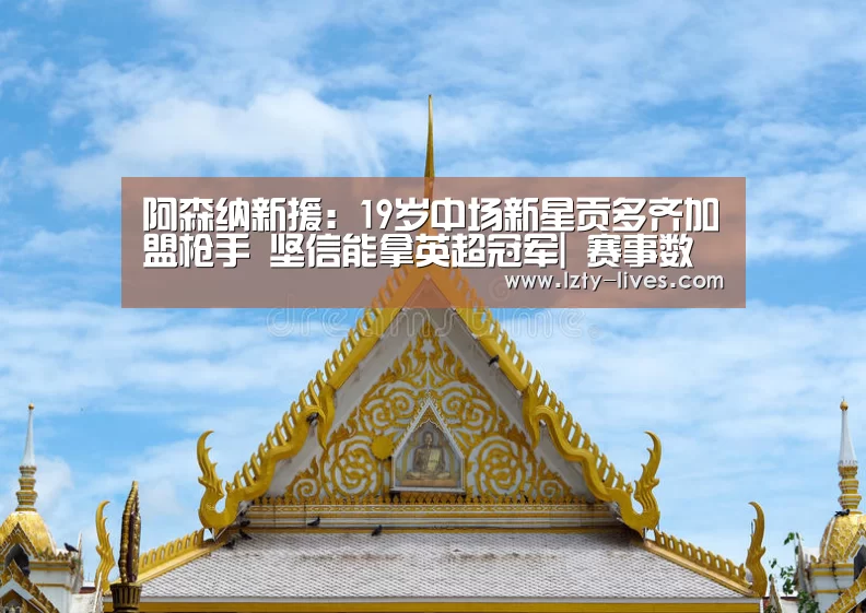 阿森纳新援:19岁中场新星贡多齐加盟枪手 坚信能拿英超冠军| 赛事数据直播(图3) 篮球直播